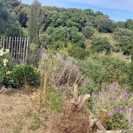 Country house Cabanon En Pierre - Vue Sur